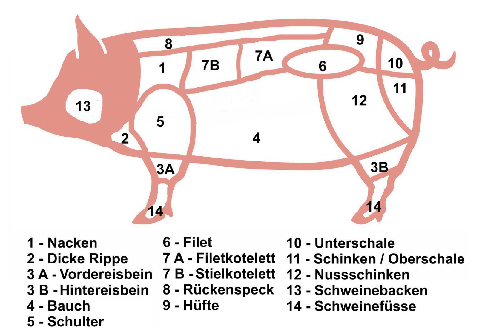 猪肉分布图2